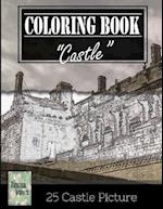 Castle History Architechture Greyscale Photo Adult Coloring Book, Mind Relaxation Stress Relief