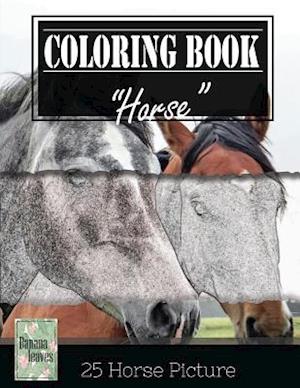 Horse Sketch Gray Scale Photo Adult Coloring Book, Mind Relaxation Stress Relief