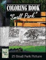 Small Park Citylife Greyscale Photo Adult Coloring Book, Mind Relaxation Stress Relief