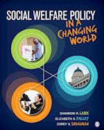Social Welfare Policy in a Changing World