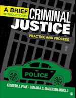 Brief Introduction to Criminal Justice