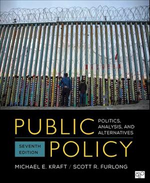 Public Policy : Politics, Analysis, and Alternatives