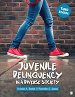 Juvenile Delinquency in a Diverse Society