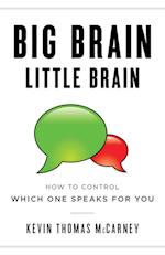 Big Brain Little Brain