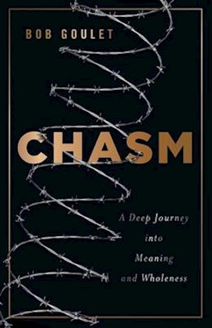 Chasm: A Deep Journey into Meaning and Wholeness