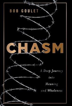 Chasm: A Deep Journey into Meaning and Wholeness