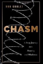 Chasm: A Deep Journey into Meaning and Wholeness 