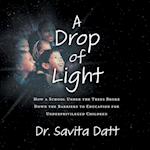 A Drop of Light: How a School Under the Trees Broke Down Barriers to Educating Underprivileged Children 