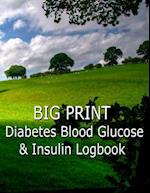 Big Print Diabetes Blood Sugar and Insulin Log