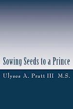 Sowing Seeds to a Prince