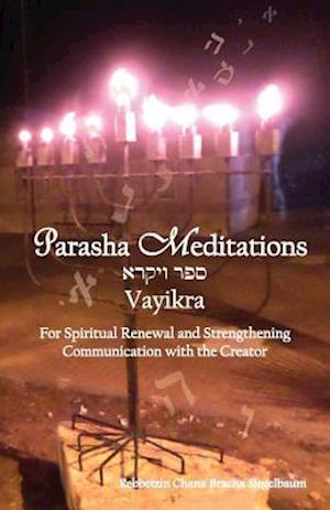 Parsha Meditations