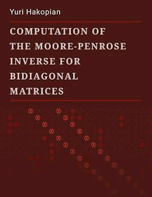 Computation of the Moore-Penrose Inverse for Bidiagonal Matrices