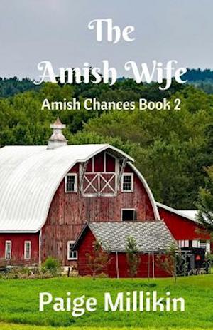 The Amish Wife