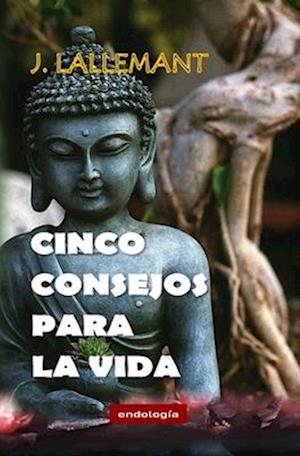 Cinco Consejos Para La Vida