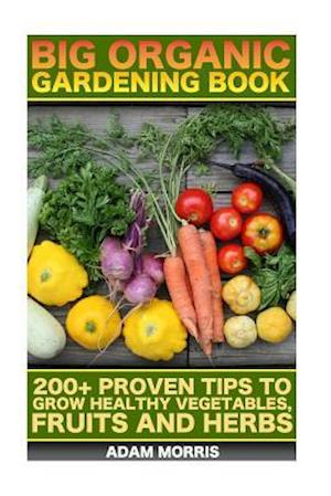 Big Organic Gardening Book