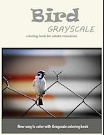 Cute Bird Grayscale Coloring Book for Adults Relaxation