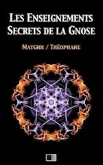 Les Enseignements Secrets de la Gnose