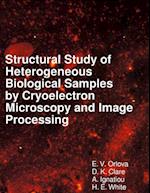 Structural Study of Heterogeneous Biological Samples by Cryoelectron Microscopy and Image Processing