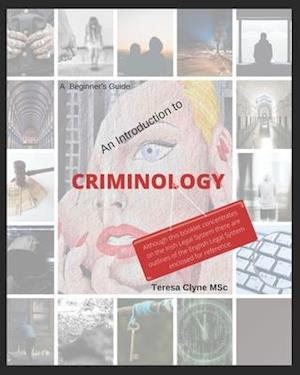 A Beginner's Guide - An Introduction to Criminology: A plain English guide to Criminology