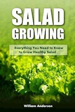 Salad Growing