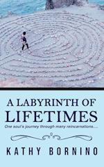 A Labyrinth of Lifetimes 