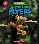 Unexpected Flyers (Learn About
