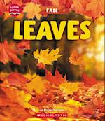 Leaves (Learn About