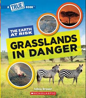 Grasslands in Danger (a True Book