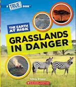 Grasslands in Danger (a True Book