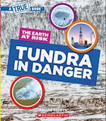 Tundra in Danger (a True Book