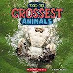 Top Ten Grossest Animals (Wild World)