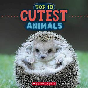 Cutest Animals (Wild World