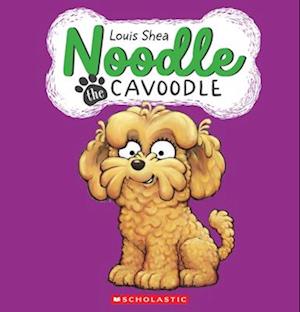 Noodle the Cavoodle