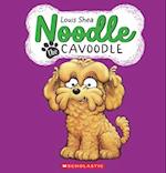 Noodle the Cavoodle