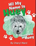 Hi! My Name Is Huey