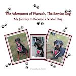 The Adventures of Pharaoh, the Service Dog