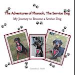 Adventures of Pharaoh, the Service Dog