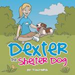 Dexter the Shelter Dog
