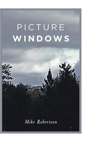 Picture Windows