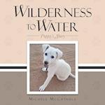 Wilderness to Water