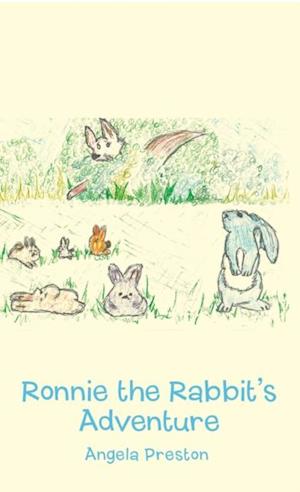 Ronnie the Rabbit's Adventure