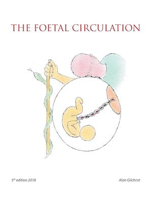 The Foetal Circulation