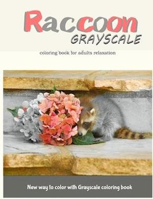 Raccoon Grayscale Coloring Book for Adults Relaxation