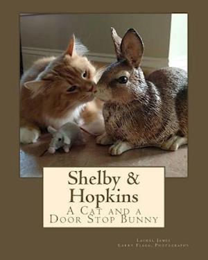 Shelby & Hopkins