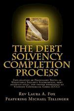 The Debt Solvency Completion Process