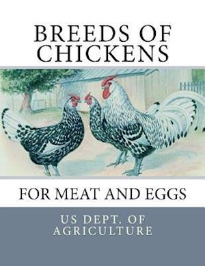 Breeds of Chickens for Meat and Eggs