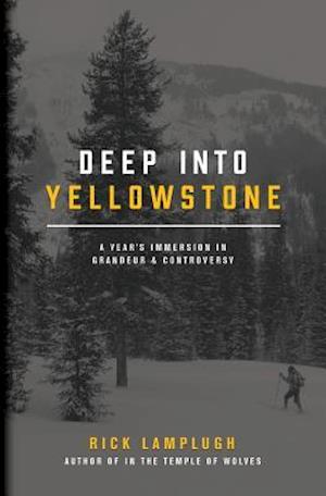 Deep Into Yellowstone