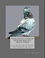 Long Faced Tumbler Pigeons and All about Them