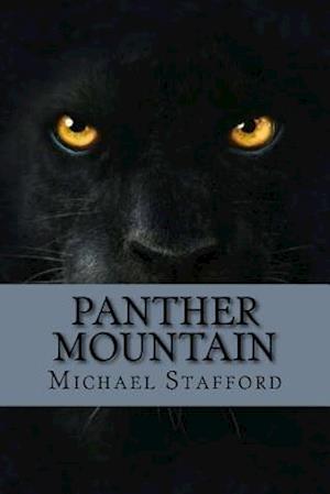 Panther Mountain