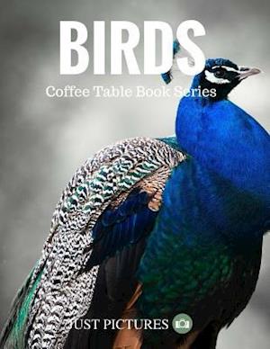 Birds: Coffee Table Book Series
